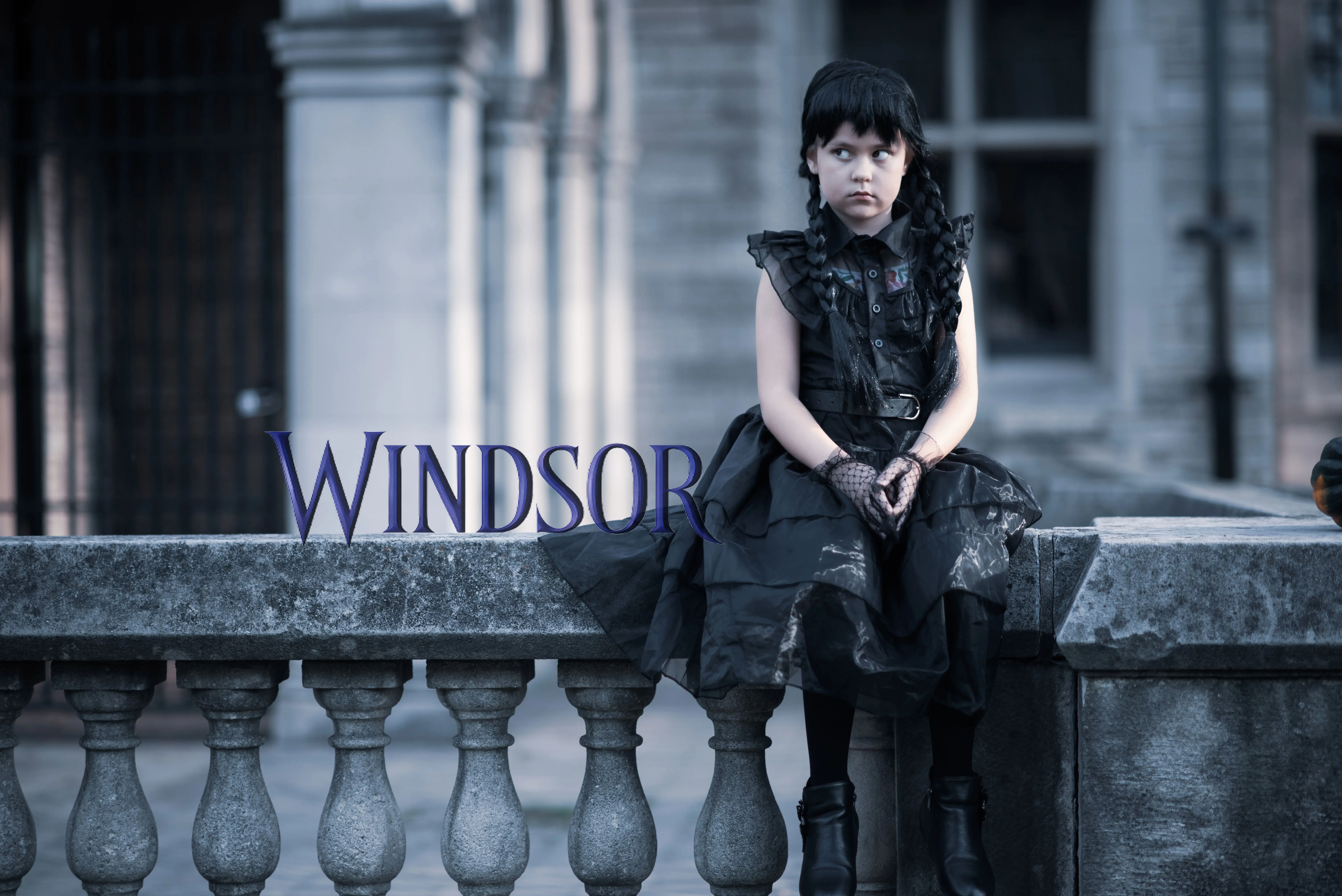 Windsor Wednesday cinematic banner