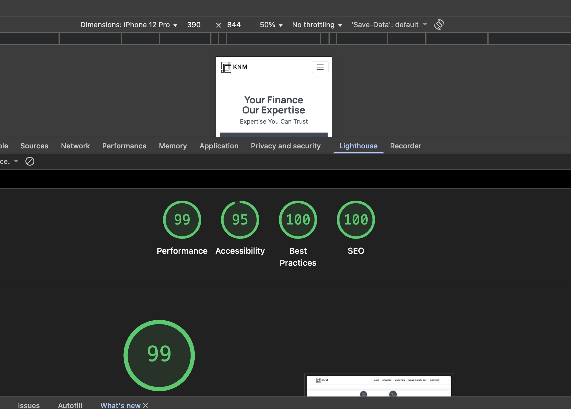 Lighthouse: Perf 99, A11y 95, Best Practices 100, SEO 100