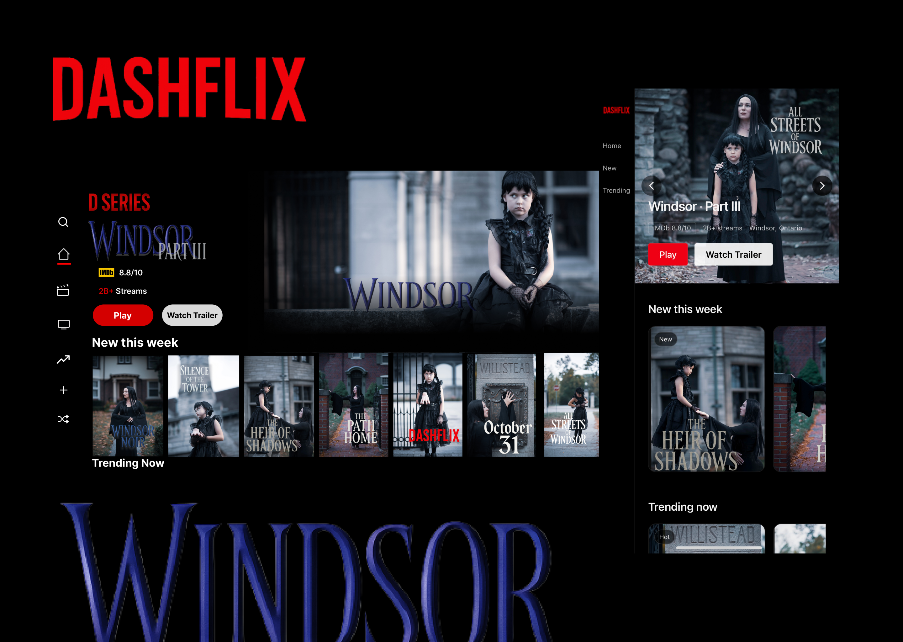 Dashflix Project Preview
